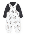 Conjunto 122139