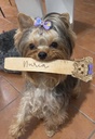 Marcapáginas personalizado de tu mascota