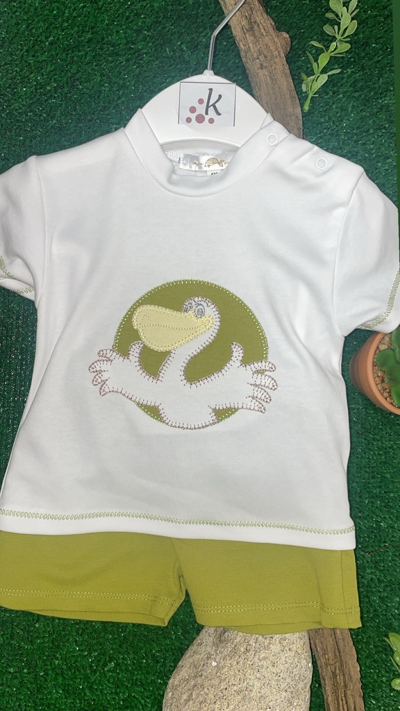 conjunto bebé pelican