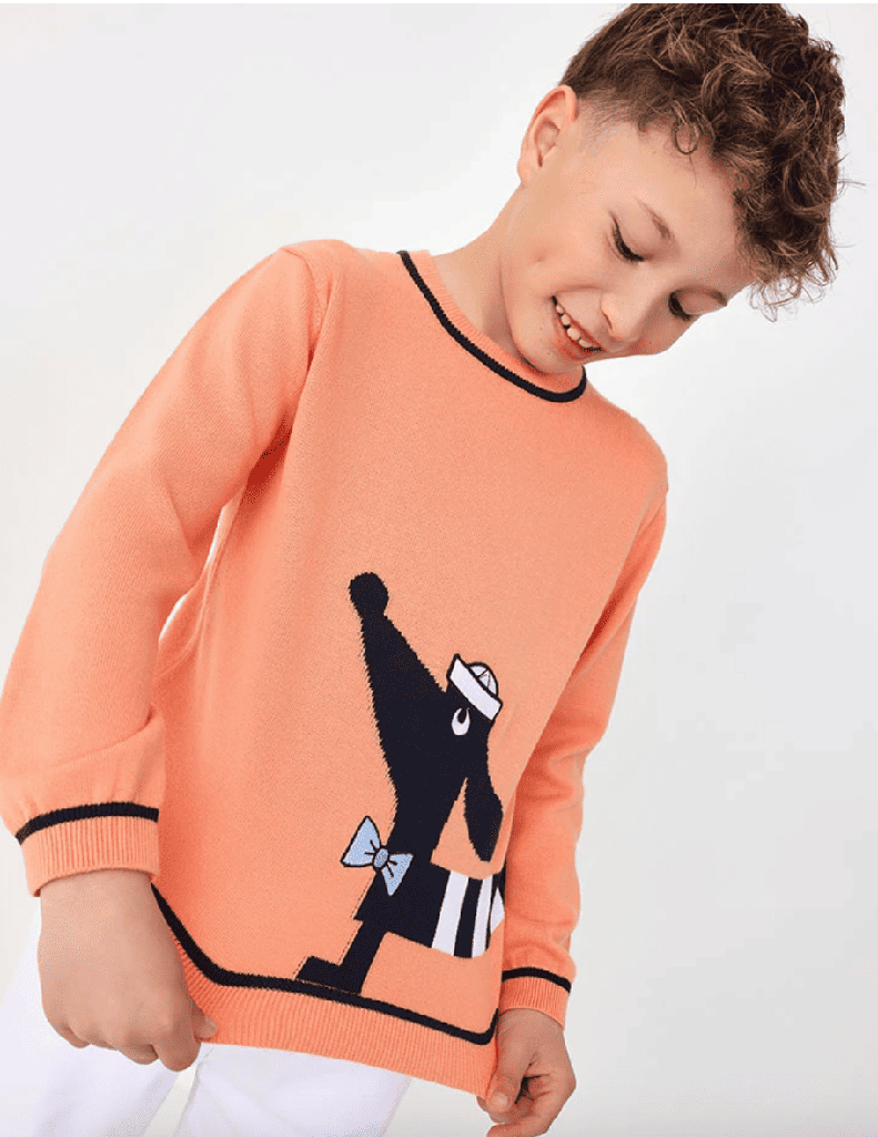 jersey perro salchicha