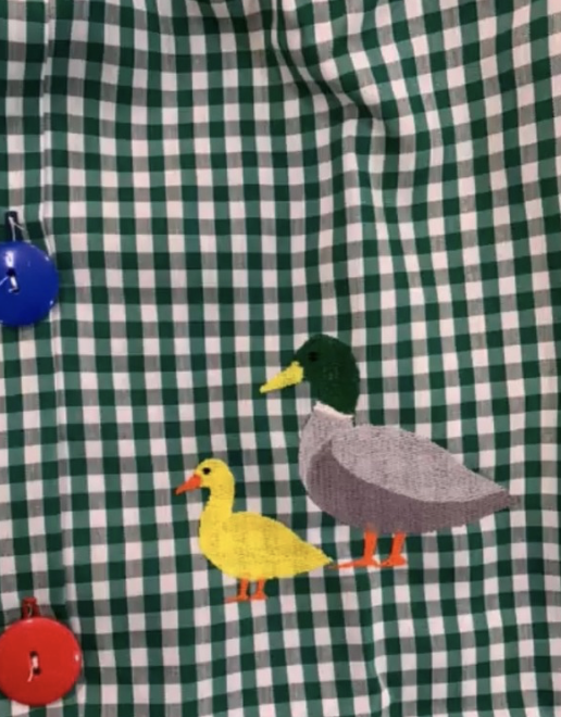 Mandilón patos