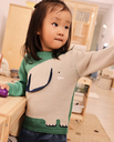 Jersey 264013